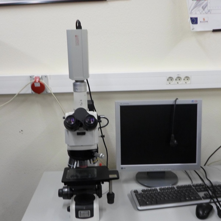 Nikon Eclipse Optical Microscope