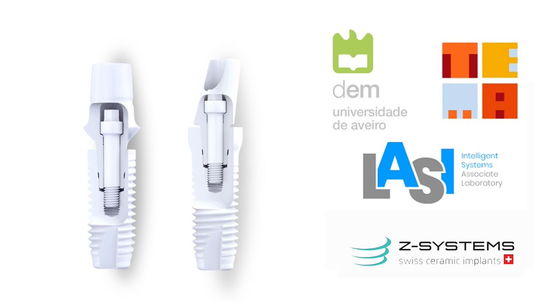 1st Workshop on Zirconia Dental Implants