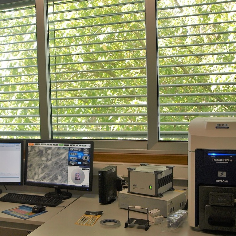 Scanning Electron Microscope (SEM) – Hitachi TM4000Plus with Bruker EDS