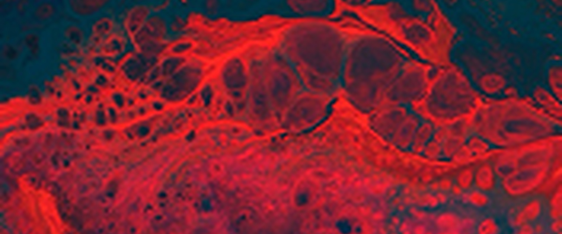 Mechanical Testing Laboratory (ISO 9001)